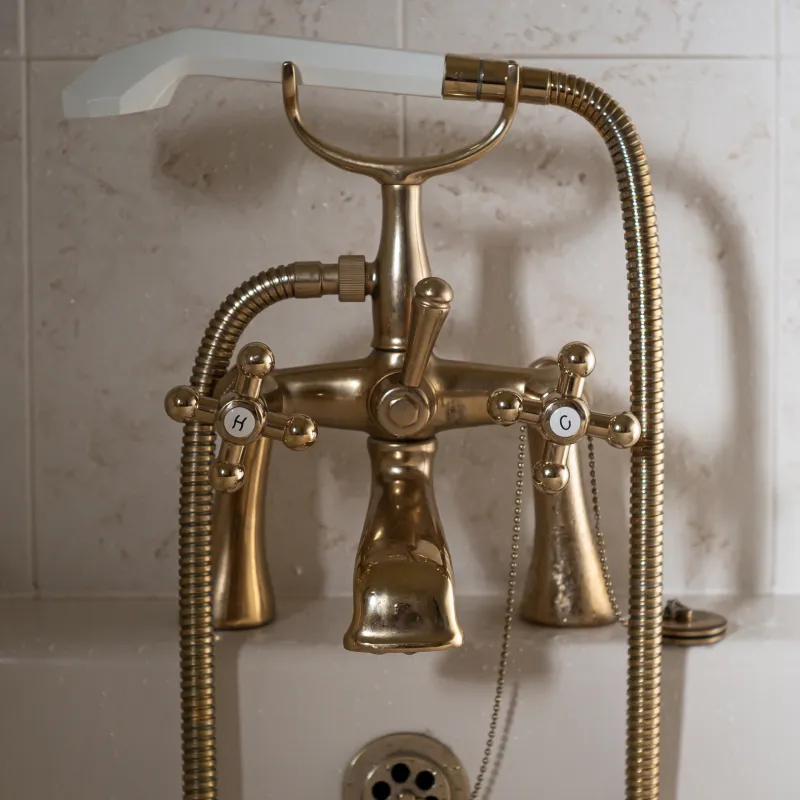 Faucet & Toilet Replacement